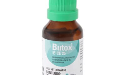 Você passa butox no cachorro? Cuidado! O que acontece se passar Butox no cachorro?